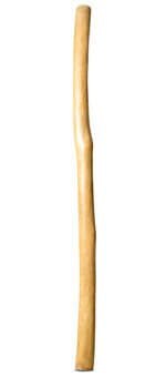 Natural Finish Didgeridoo (TW1442)